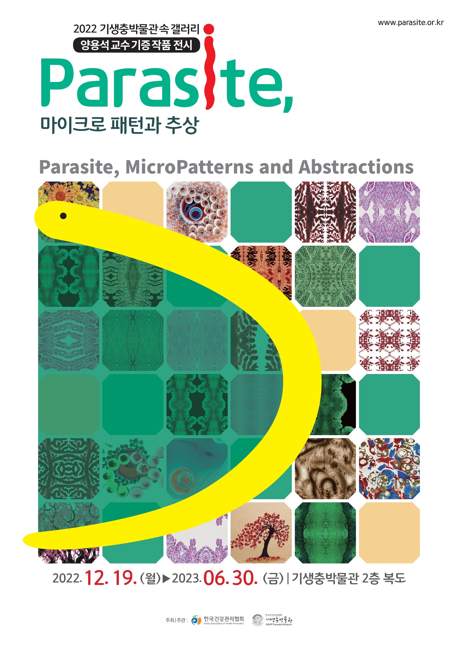 2022 기생충박물관 속 갤러리 'Parasite, 마이크로 패턴과 추상'