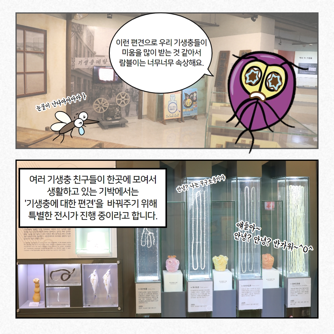 [뮤궁뮤진] 바로 지금! 기생충박물관에는?