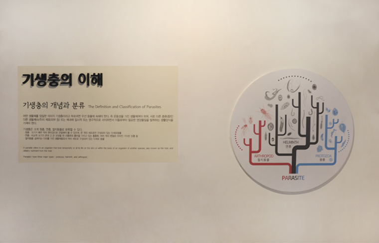 전시이미지