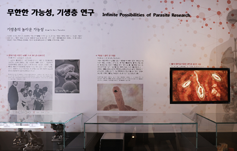 전시이미지