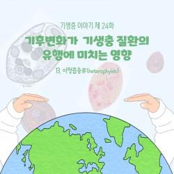 thumb-2039294717_BNAfvih2_7715e289b0becd679ab211f8c12029ba58c2e783_250x250.jpg