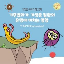 thumb-2039294717_2a6YsMQU_99aea4145008eeec6990e6131cab0b8be019403f_250x250.jpg