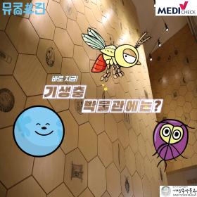 기박 뮤궁뮤진 1.jpg